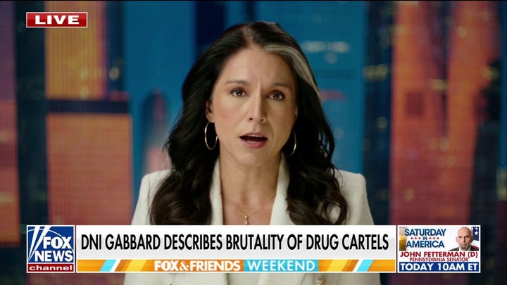 Tulsi Gabbard describes brutality of drug cartels