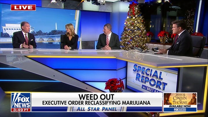 Trump executive order reclassifying marijuana sends ‘mixed messages’: Former RNC communications director 